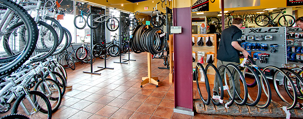 local bicycle shops near me