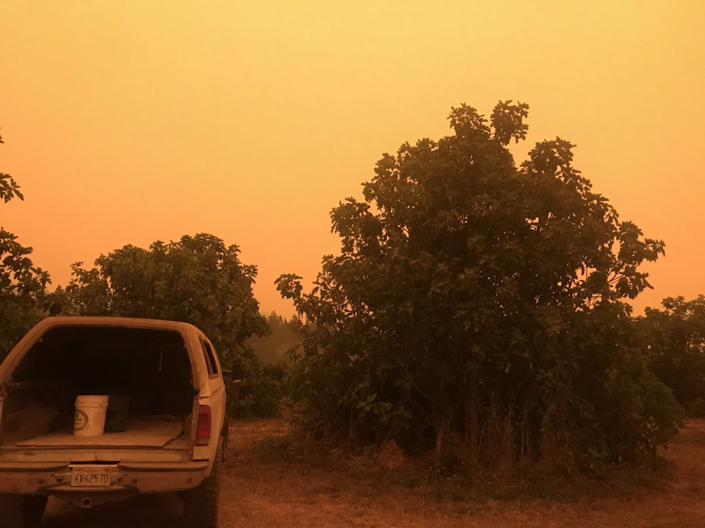 The open back of a truck cast with a thick orange haze.