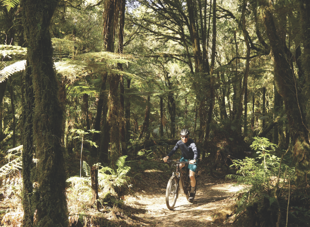 A man rides a mountain bike in dense forest.