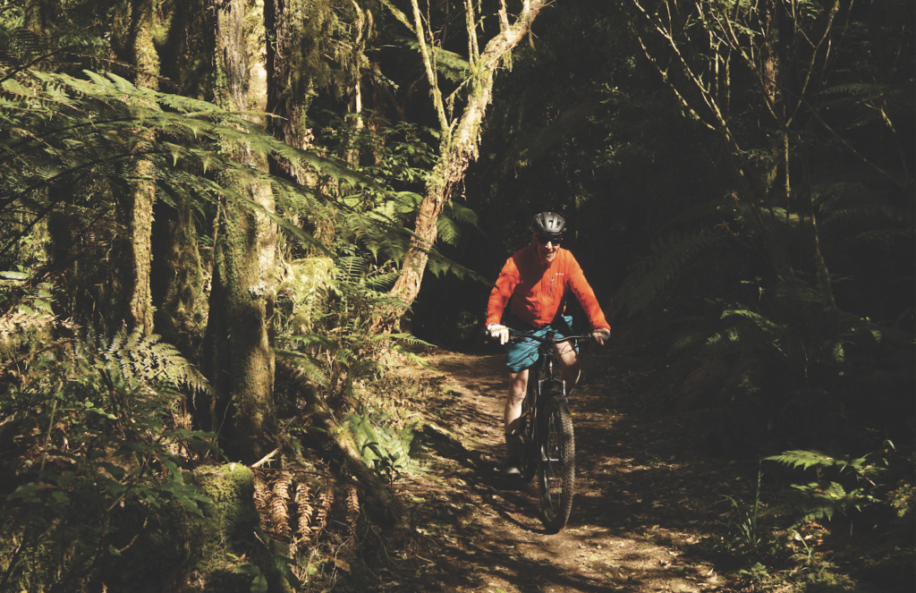 A man rides a mountain bike down a hill on a dirt path in dense forest.