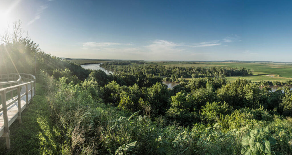 Sliver of a boardwalk overlooking a wooded area around a river.